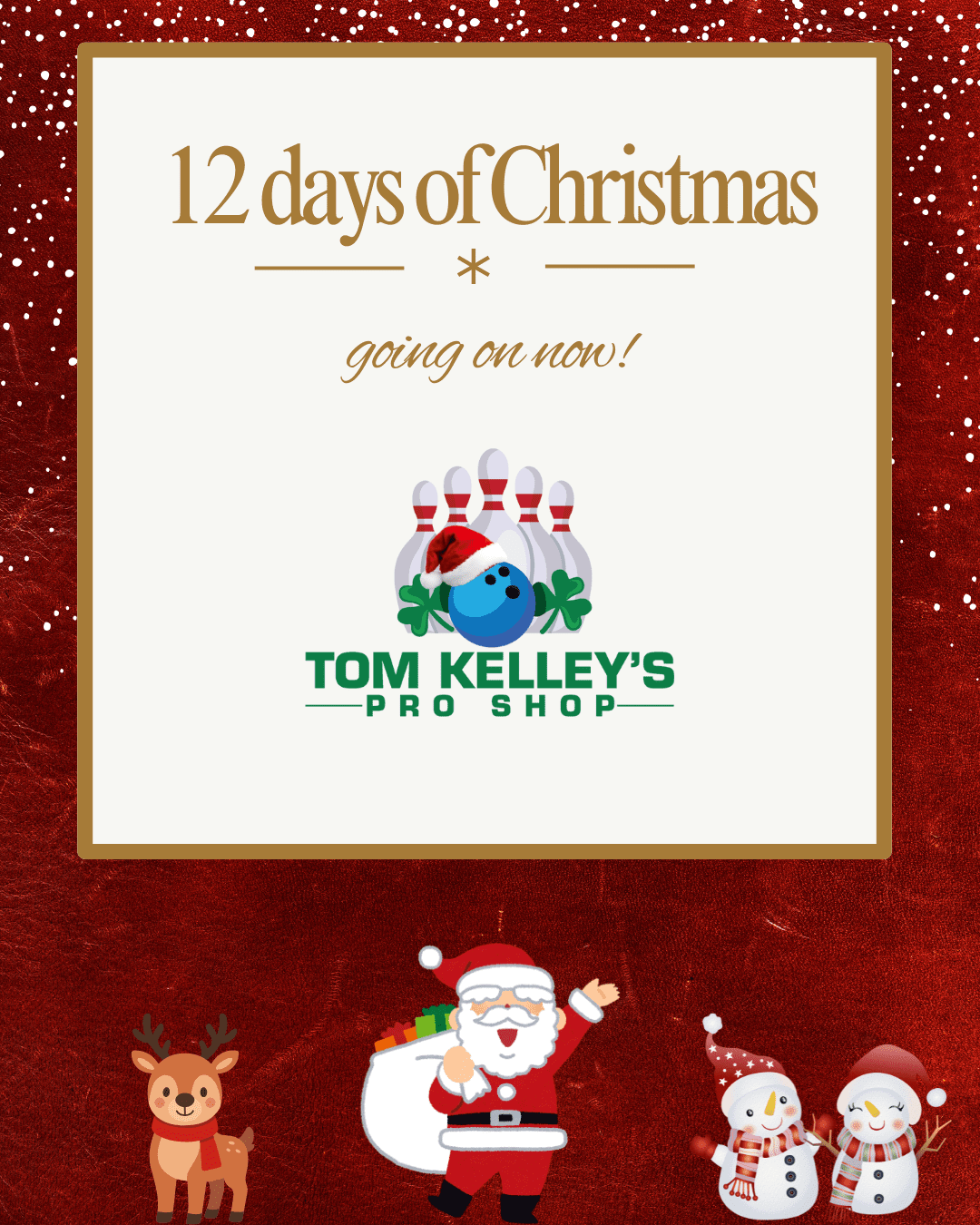 12 days of Christmas sale going on now.